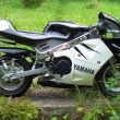 M�j minibike